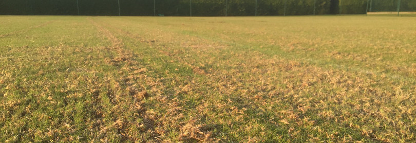 Scarifying grass court