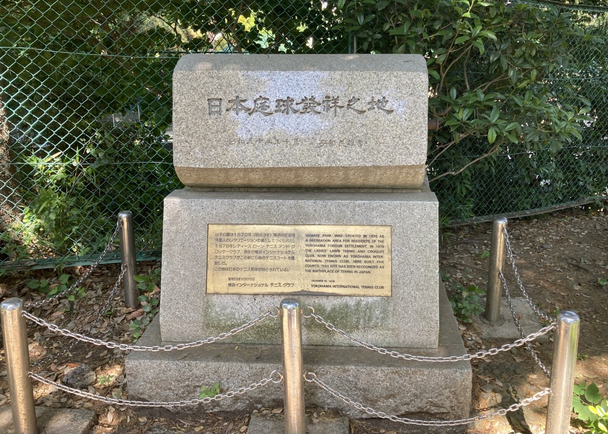 Plaque